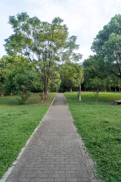 Çin 'deki Şehir Parkı yolu.