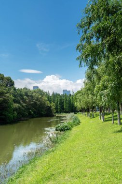 Bahar Parkı ve modern şehir