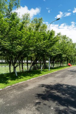 Yeni patika ve güzel ağaçlar parkta koşmak, yürümek ve bisiklete binmek için iz sürüyor. 