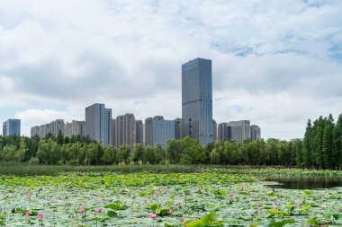 Çin 'deki Lakeside modern ofis binası