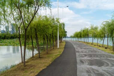 Yeni patika ve güzel ağaçlar parkta koşmak, yürümek ve bisiklete binmek için iz sürüyor. 