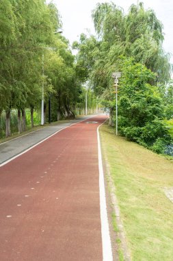 Yeni patika ve güzel ağaçlar parkta koşmak, yürümek ve bisiklete binmek için iz sürüyor. 