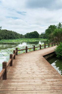 Şehir parkında tahta kaldırım. 