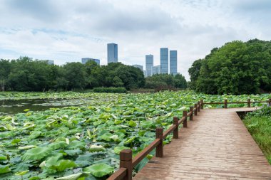 Bahar Parkı ve modern şehir