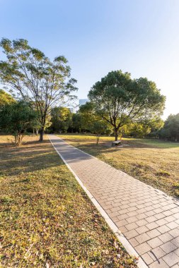 Çin 'deki Şehir Parkı yolu.