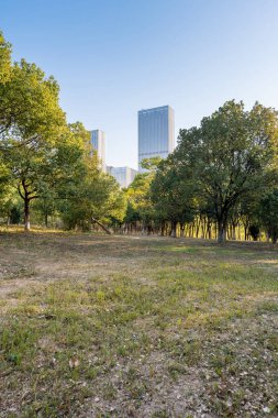 Şangay 'da modern bina geçmişi olan şehir parkı.