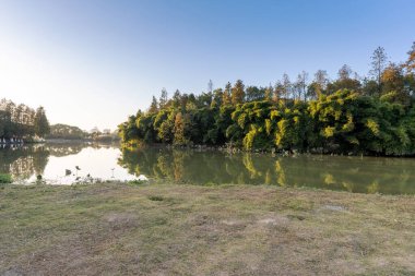 Parktaki göletin çevresi yemyeşil