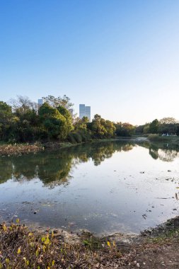 Çin 'deki Lakeside modern ofis binası