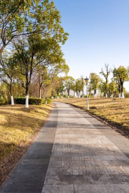 Çin 'deki Şehir Parkı yolu.