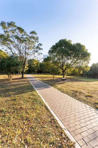Çin 'deki Şehir Parkı yolu.