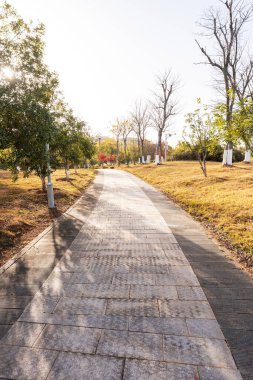 Çin 'deki Şehir Parkı yolu.