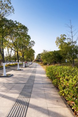 Modern şehirde yürüyüş yolu