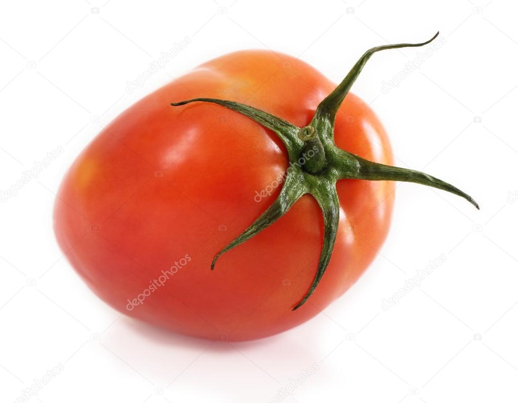  Tomato  is fruit.