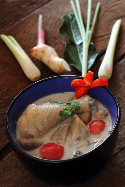 코코넛 밀크와 galangal 치킨. — 스톡 사진