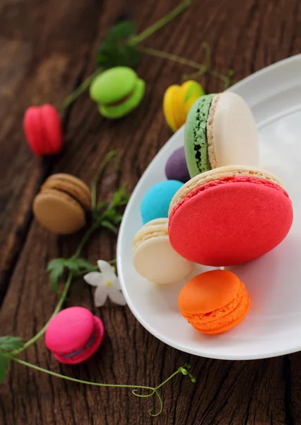 Macaron multi color. — Stock Photo, Image