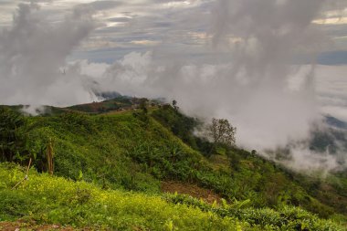 Deniz sis Dağı'nda.