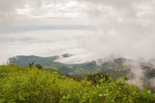 Niebla marina en la montaña . —  Fotos de Stock