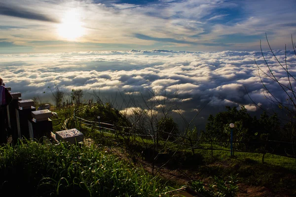 Deniz sis Dağı'nda.
