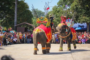 Fil gösterisi savaş Iuthheete