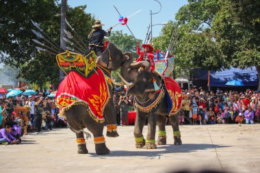 Fil gösterisi savaş Iuthheete
