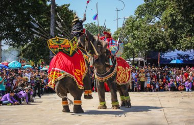 Fil gösterisi savaş Iuthheete