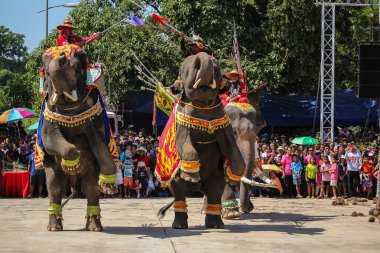 Fil gösterisi savaş Iuthheete