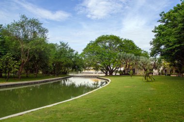 Ağaç ve greensward Bahçe