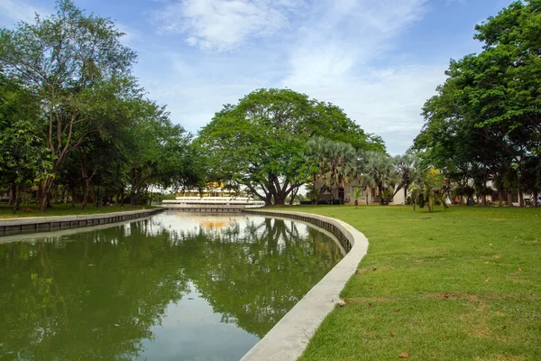 Árbol y verde en el jardín —  Fotos de Stock