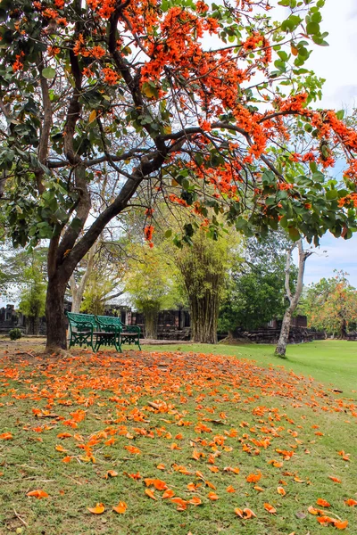 Parc historique de Phimai — Photo