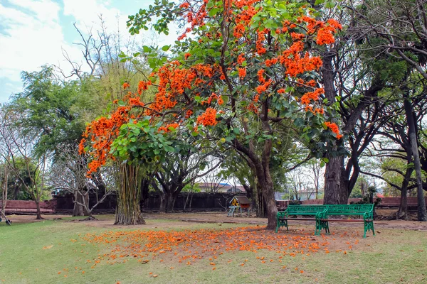 Parc historique de Phimai — Photo