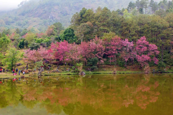 Bosques naturales montaña y embalse — Foto de Stock