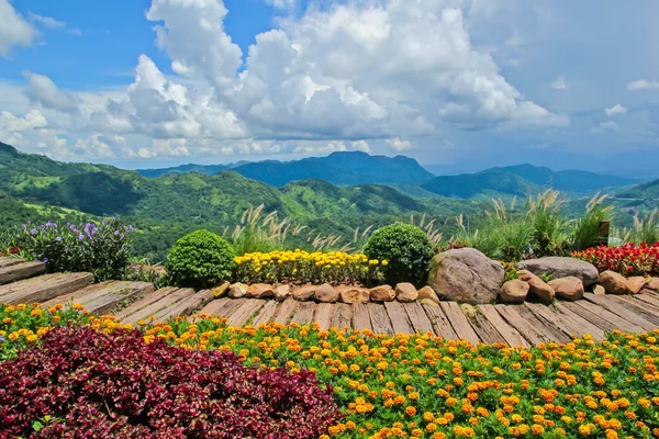 Piękny Ogród Ozdoba Dzielnicy Khao Kho Phetchabun Prowincji Tajlandii Obraz Stockowy