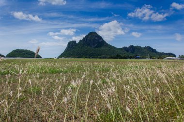 Khao lom muak Tayland.
