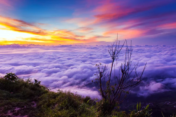 Paisaje Niebla marina en la montaña . — Foto de Stock