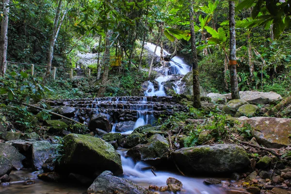 Wasserfall im Wald — Stockfoto