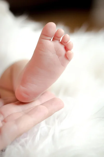 Children's small tender feet — Stock Photo, Image