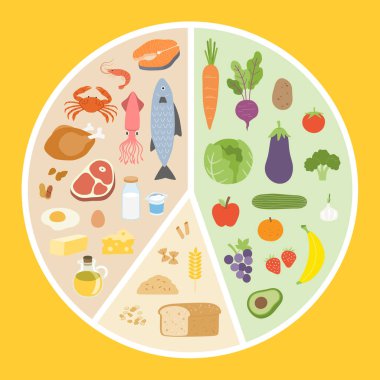 Proteinler, sebzeler, meyveler ve tahıllarla dolu sağlıklı yemek tabağı tabağı grafiği. Bu vektör, besin eğitimi için temiz, düzenli ve bilgilendirici bir daire tasarımı tarzında dengeli bir diyet göstermektedir..