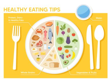 Sağlıklı beslenme ipuçlarıyla dengeli bir yemek tabağı. Proteinler, tahıllar ve yeşillikler için sınıflandırılmış özellikler besleyici alışkanlıkları bilgilendirici, temiz düz tasarım tarzında yönlendirmek için.