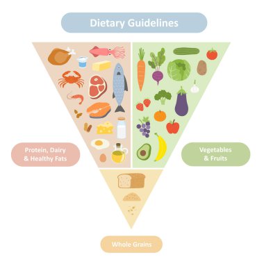 Proteinler, sebzeler, meyveler ve tahılların yer aldığı ters dönmüş gıda piramidi. Bu eğitim vektörü dengeli bir diyet ve sağlıklı beslenmeyi temiz, organize ve bilgilendirici bir tarzda teşvik eder.