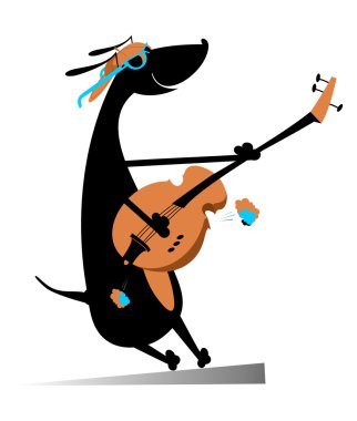 Köpek gitar çalıyor