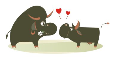 Çiftlik hayvanları aşık