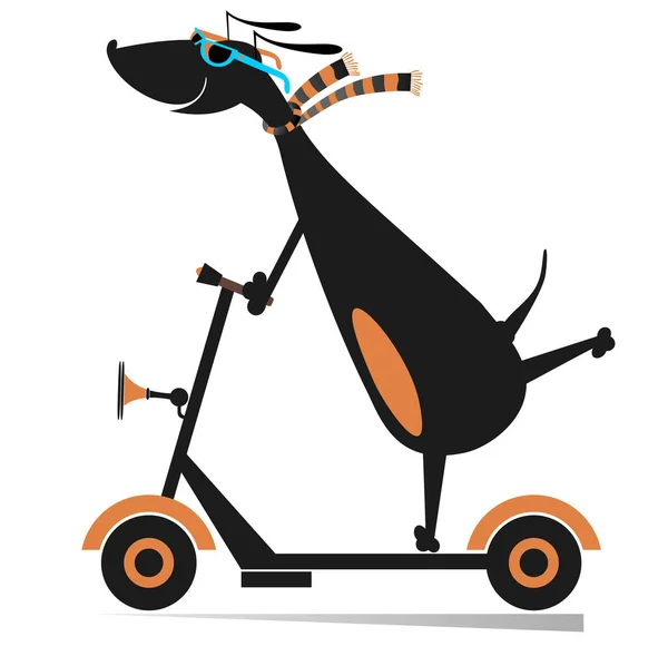 Desenhos Animados Passeios Cão Scooter Ilustração Isolada Dachshund Equitação Ecologicamente — Vetor de Stock