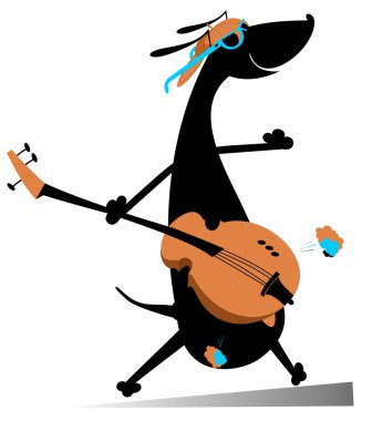 Köpek gitar çalıyor