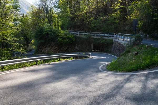 Serpentine in bergbos — Stockfoto