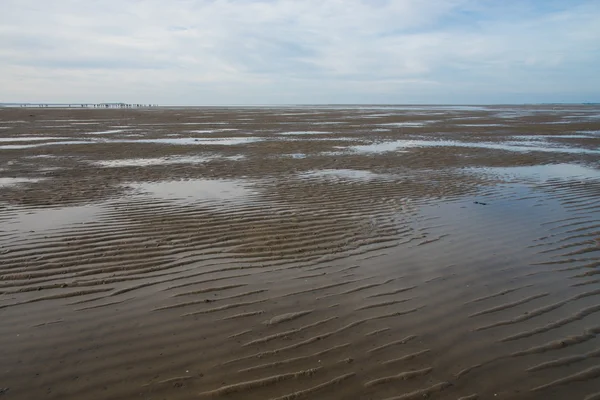 Mudflat in North Sea — Stock Photo, Image