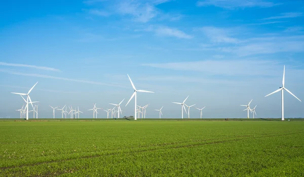 Onshore windmill power plant — Stock Photo, Image