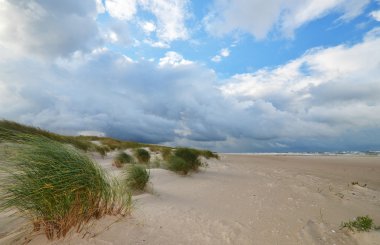Letonya, Baltık Amber coast