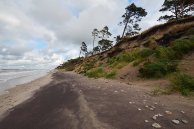 Baltık amber coast Liepaja yakınında