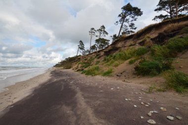 Baltic amber-coast near Liepaja clipart