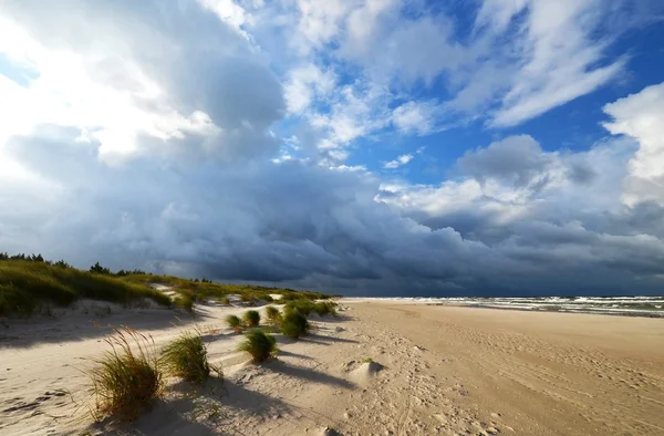 Amber coast in Latvia, Baltic — Stock Photo, Image